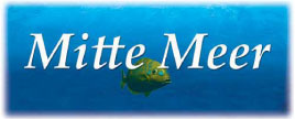 Logo Mitte Meer